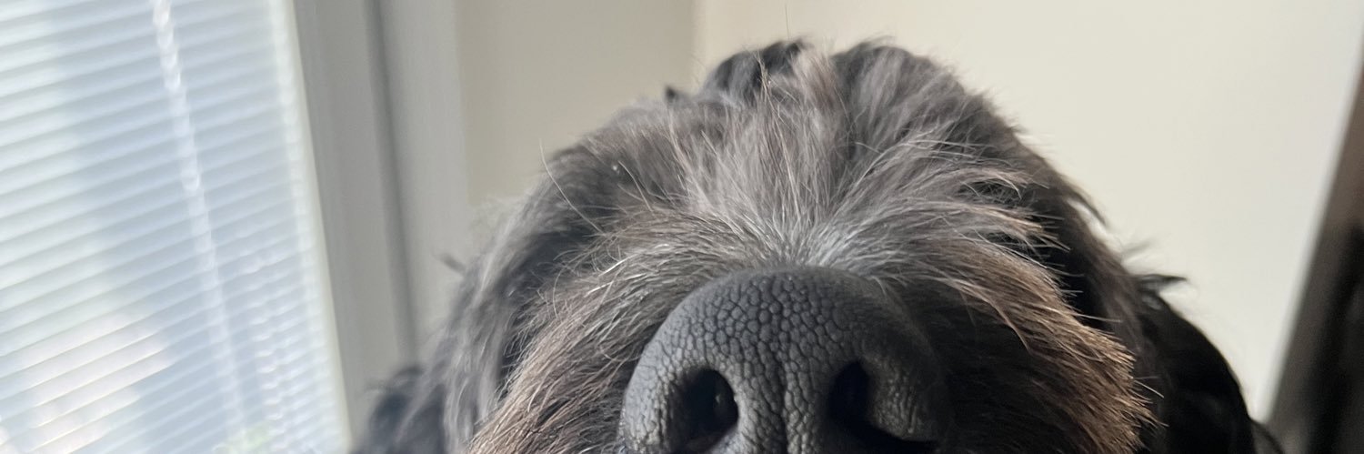 taylorcharvat's profile banner image
