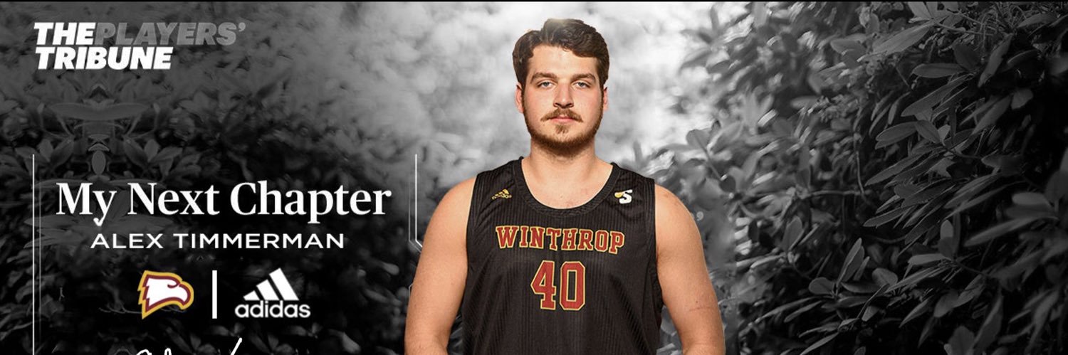Alex Timmerman banner