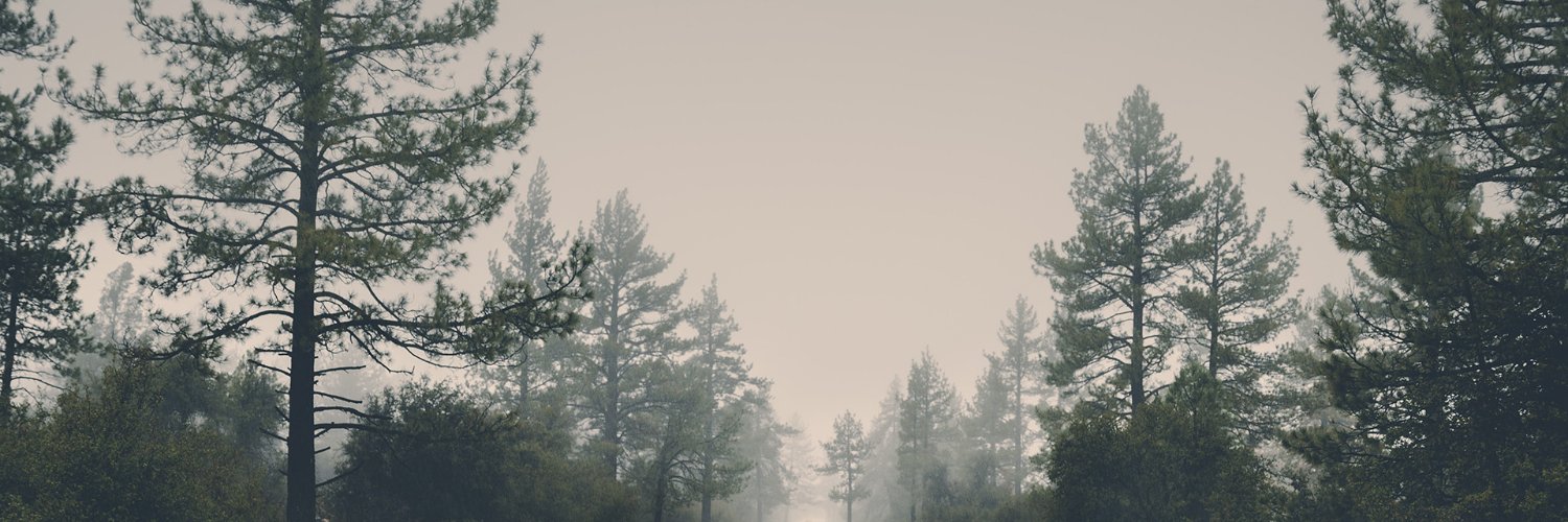 yeehawbinch's profile banner image