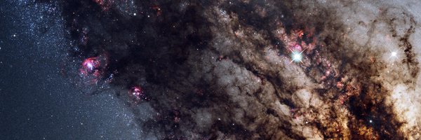 lukasz_bialy Profile Banner