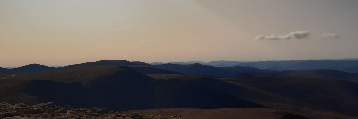 Luke Stapleton banner