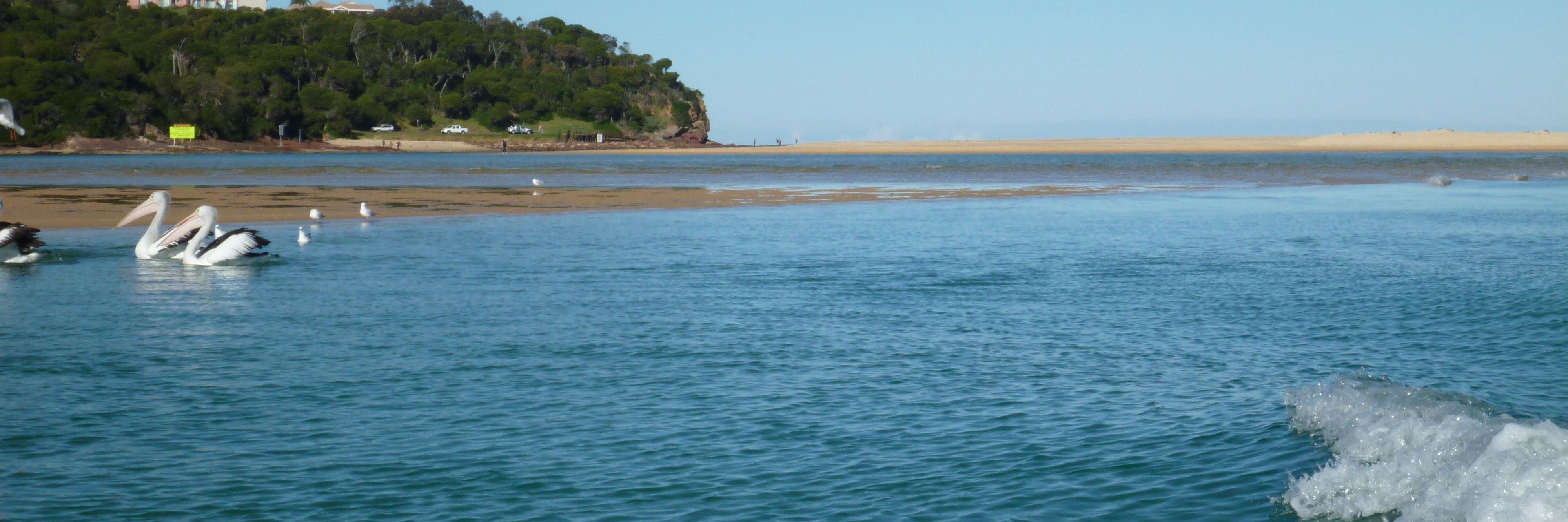 CarolynsChat's profile banner image