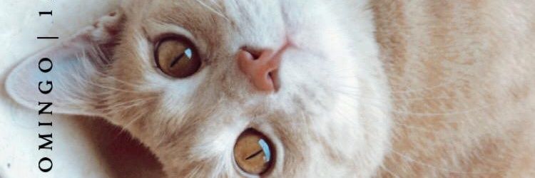 Romidlst's profile banner image