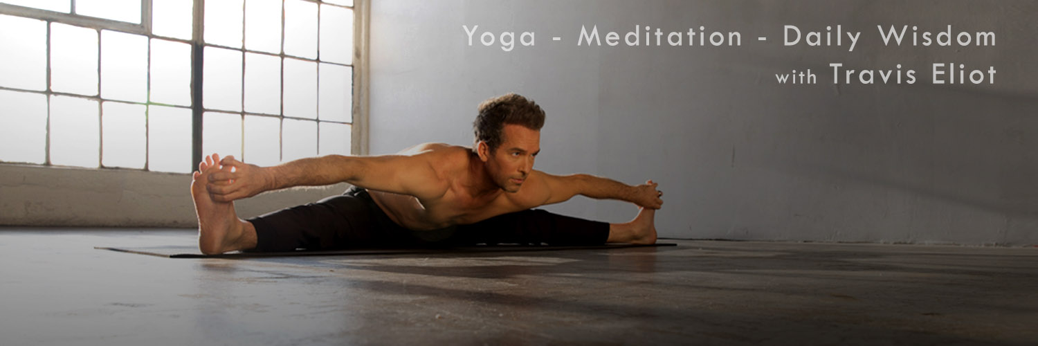 TravisEliot banner
