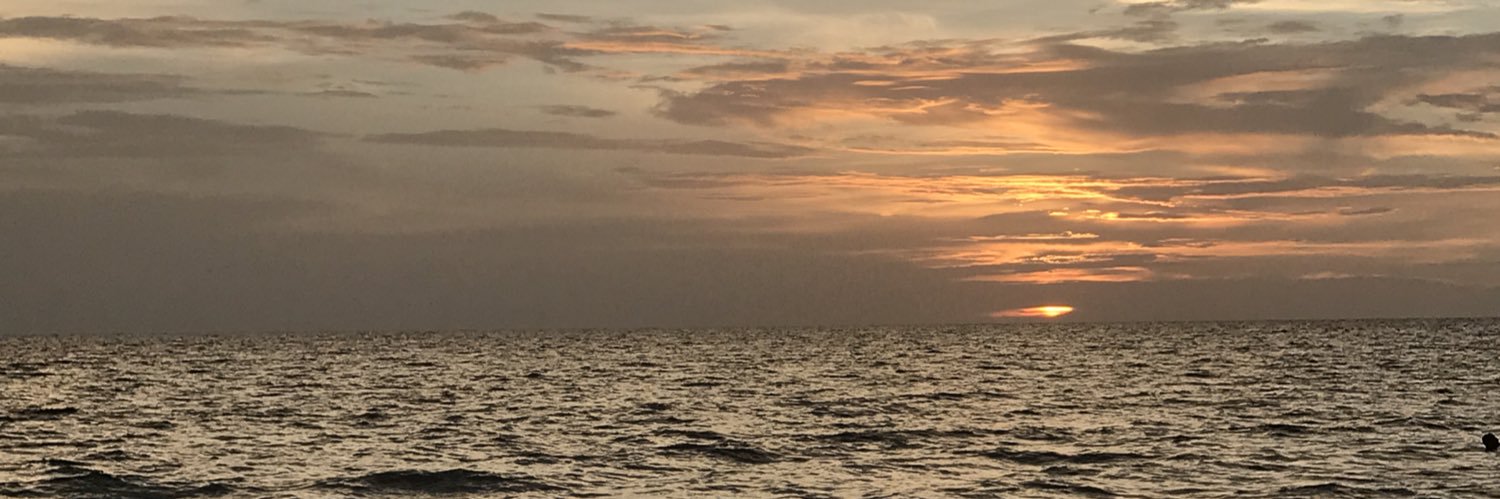 castorch's profile banner image