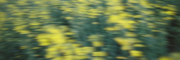 erniethechef Profile Banner