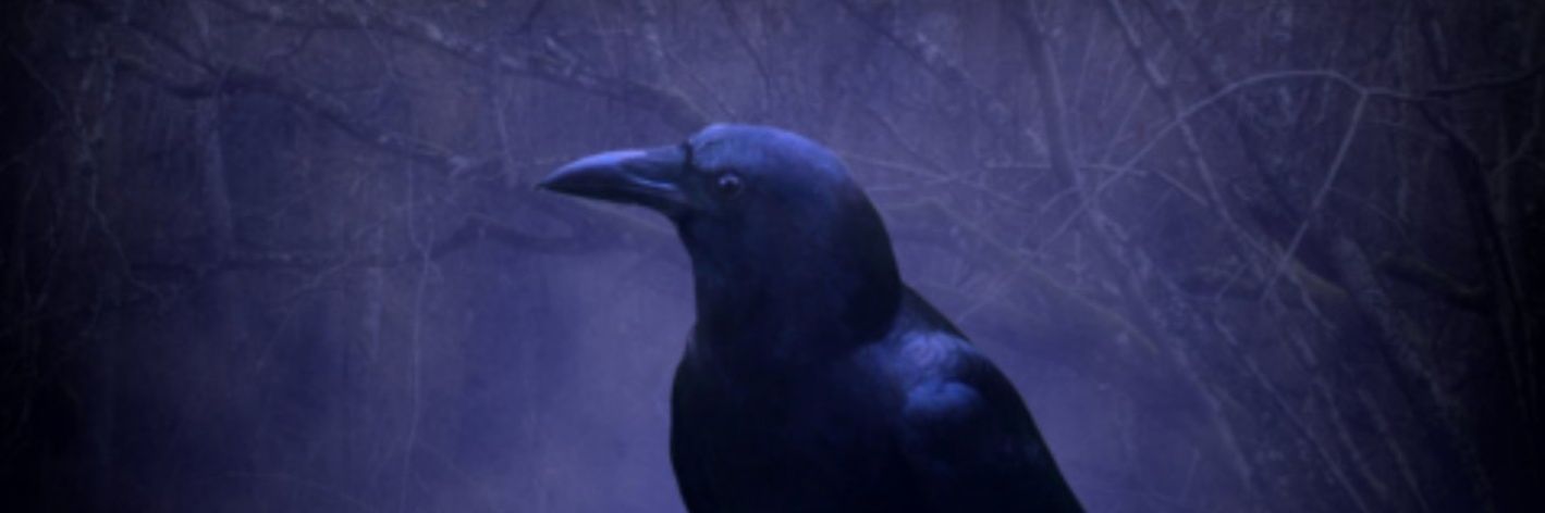 MSWRITE1521's profile banner image
