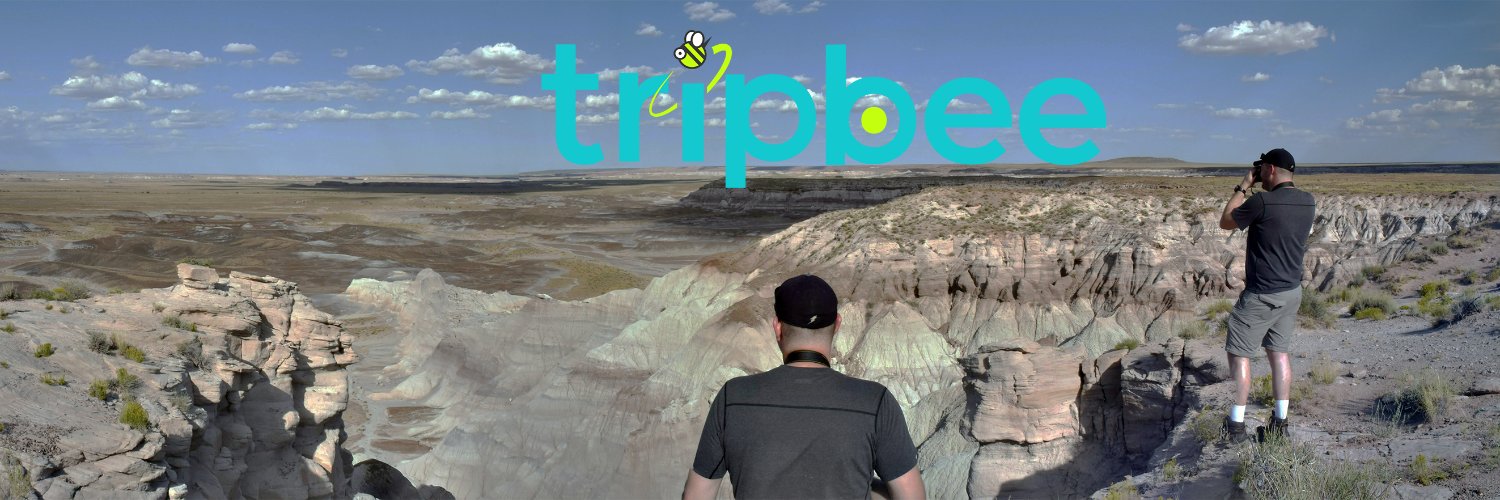 TripBee banner