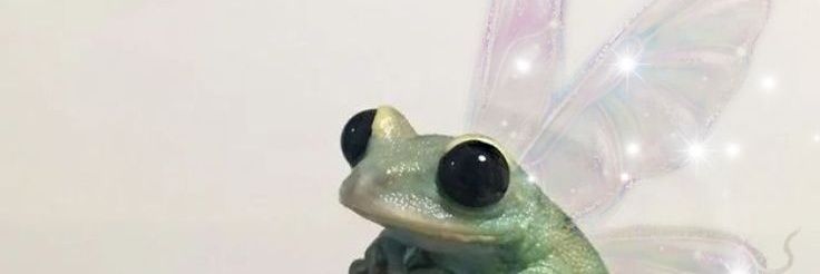 _andyyn_'s profile banner image