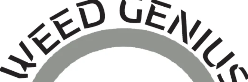 Weedthegenius's profile banner image