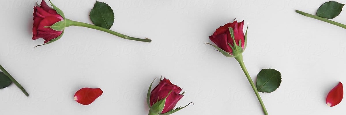 __avatara's profile banner image