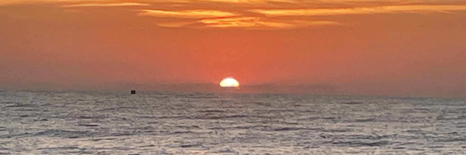 Patricia Fortunato-M banner