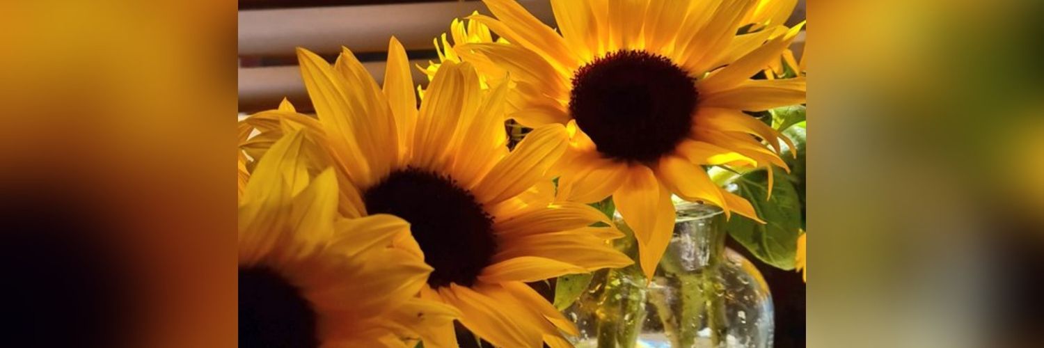 sunay922's profile banner image