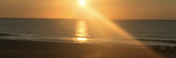 MsHayesAP Profile Banner