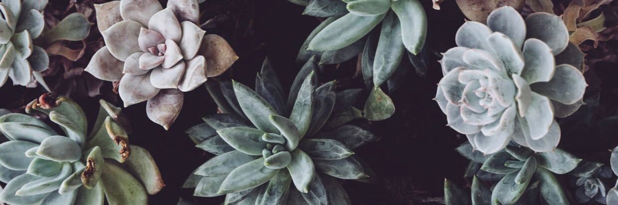 ANNIEthing_else's profile banner image