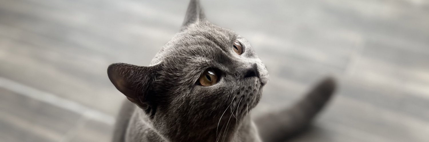 kepcecifrt's profile banner image