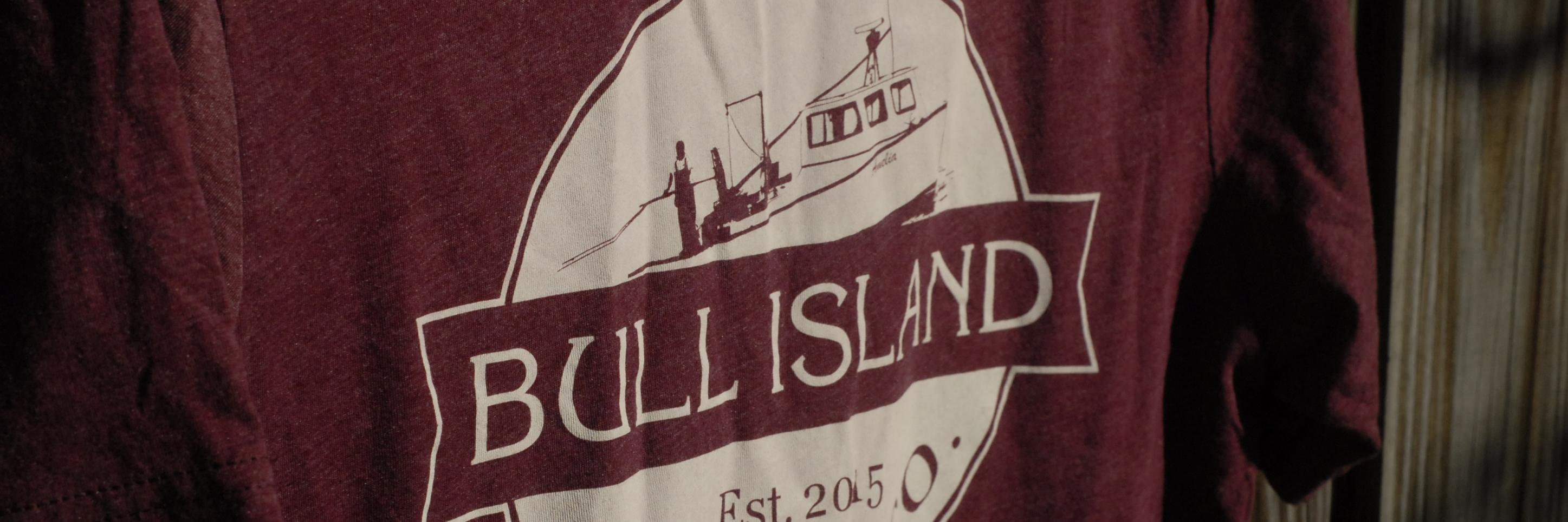 Bull Island Brewing banner