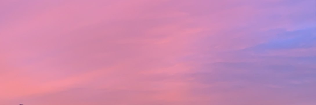fae 🤍 banner