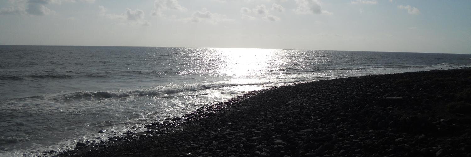 Julen Dominguez banner