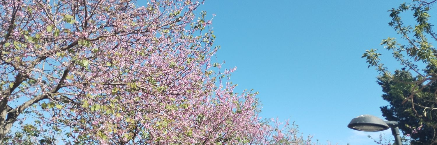 amypint's profile banner image