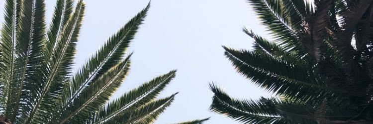PaulisosB's profile banner image