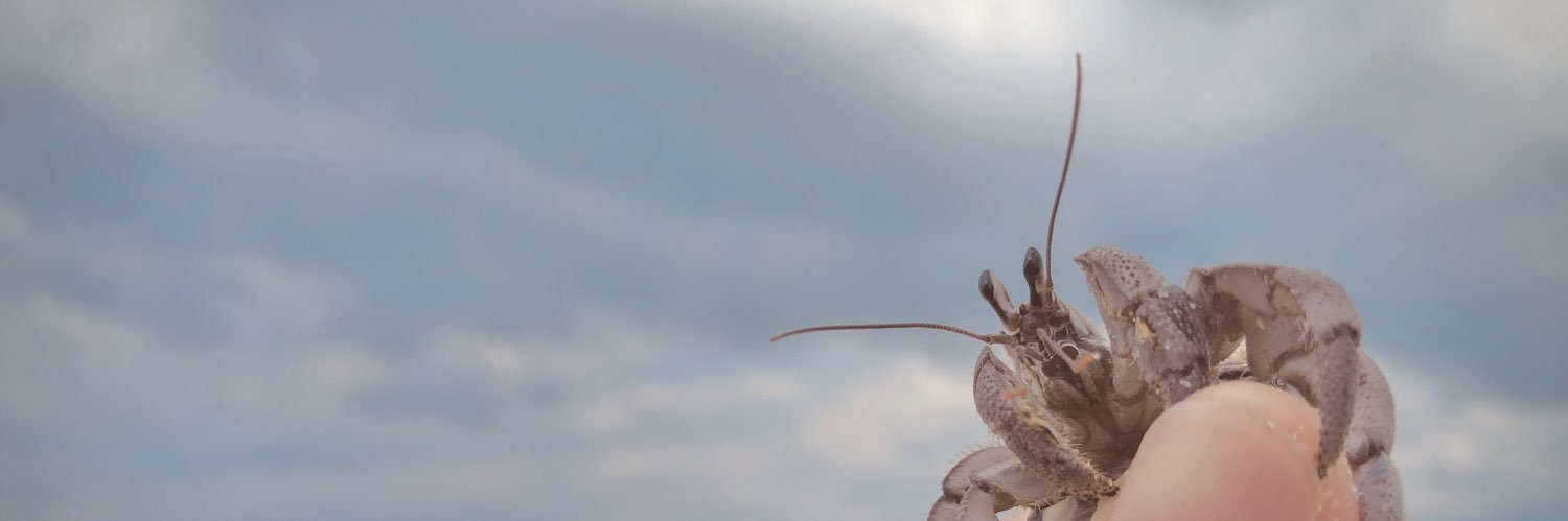 thisisponn's profile banner image