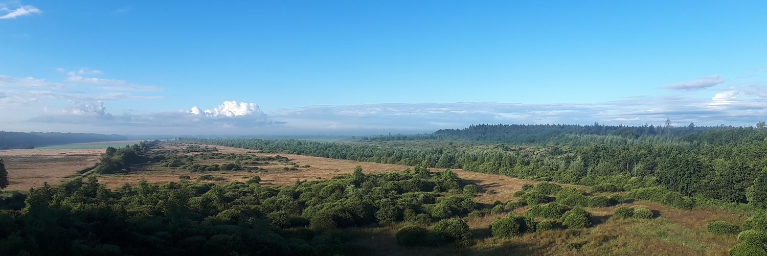 Tjeerd Langhout banner