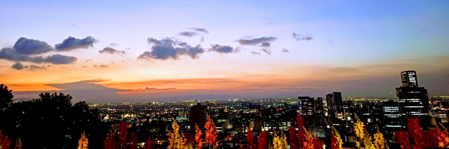 Erika_Alfo's profile banner image