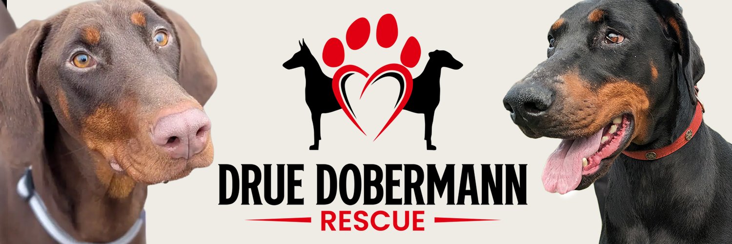 DRUE Dobermann Rescue's banner