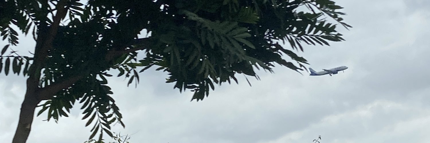 Jain banner