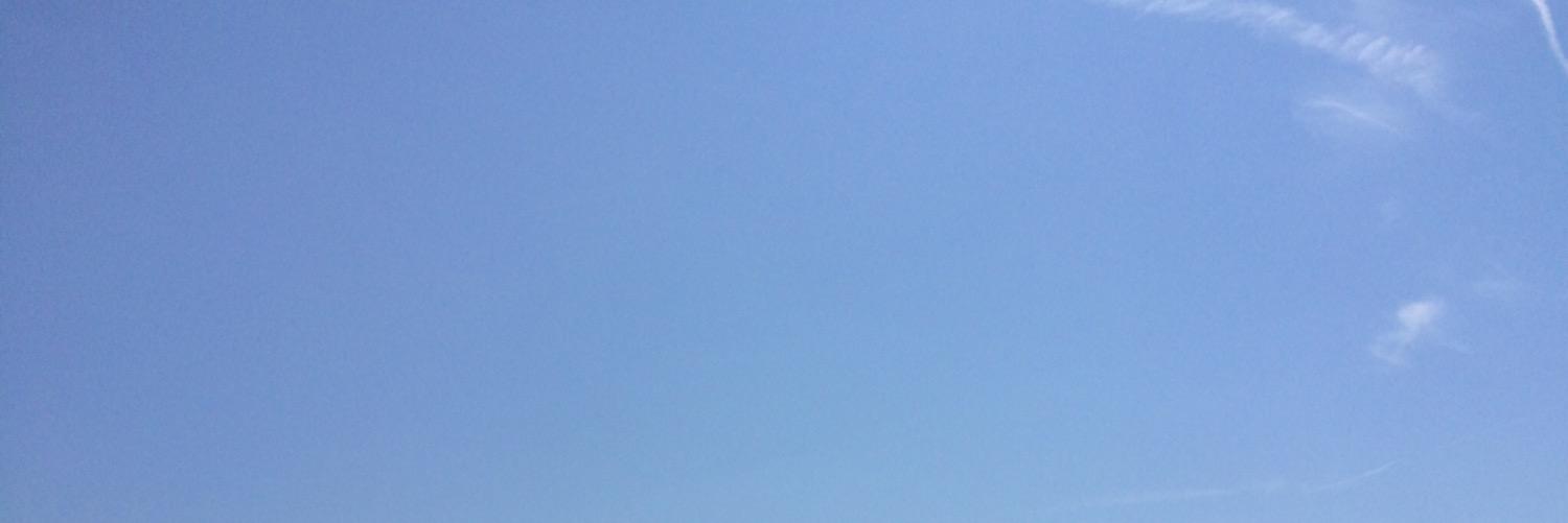 Alexandre Trivella banner