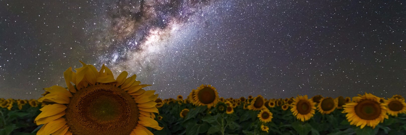 MikeDevinsky's profile banner image