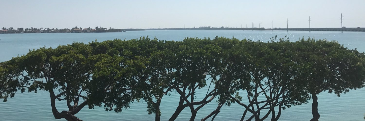 dashleyRU's profile banner image