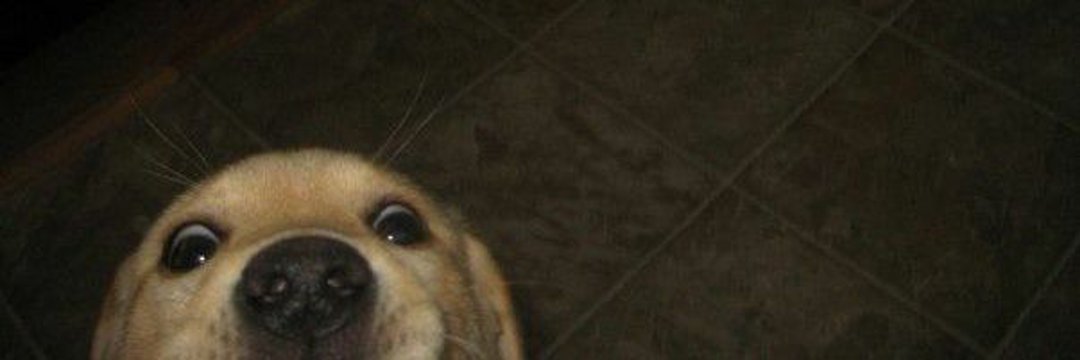 jmendes___'s profile banner image
