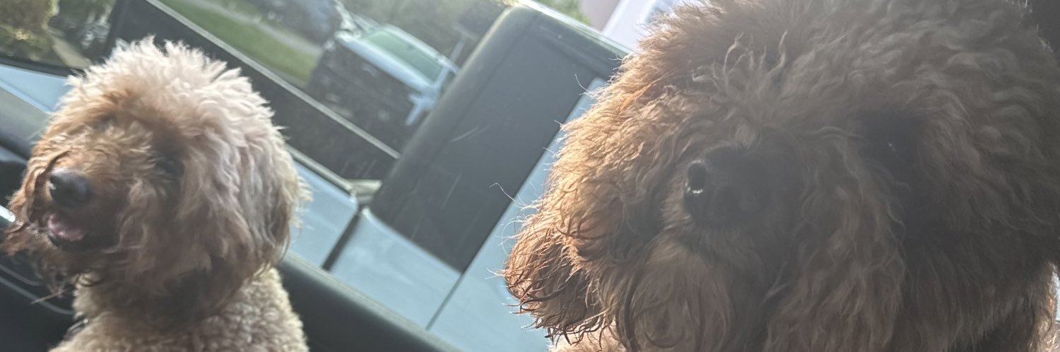 BillsMafiaMike banner