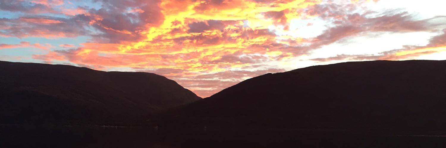 Quentin Volvert banner