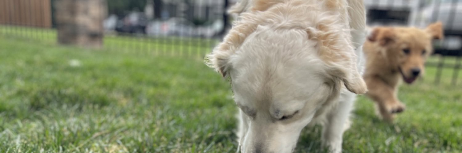 greatycaity's profile banner image