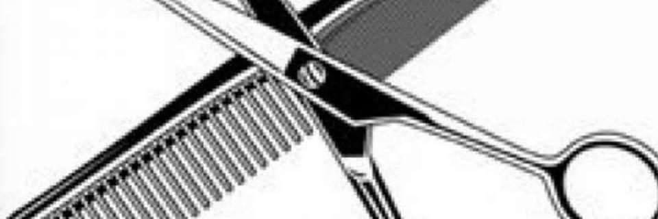 TwilightHair's profile banner image