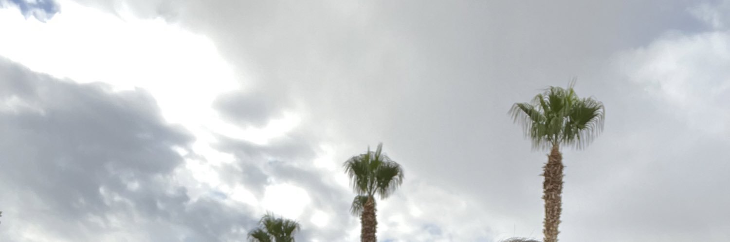 therogerdrake's profile banner image