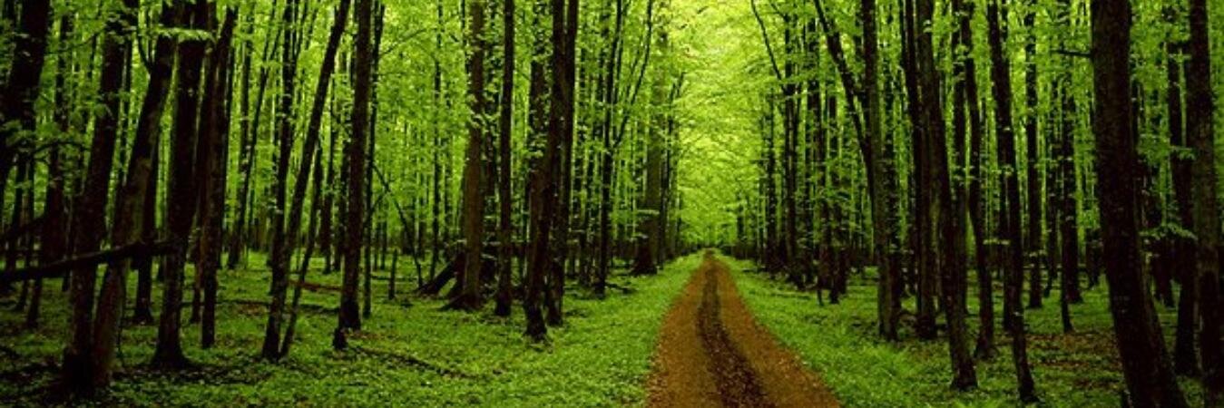 ryan_edward12's profile banner image