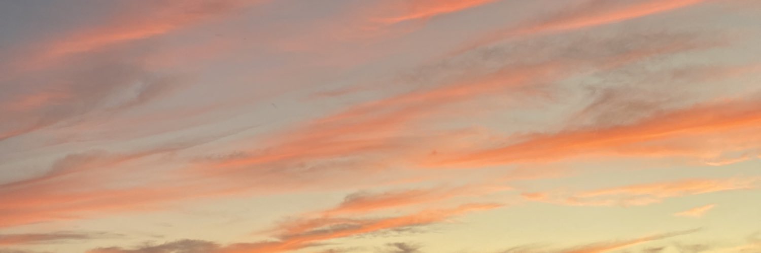 linoxxca's profile banner image