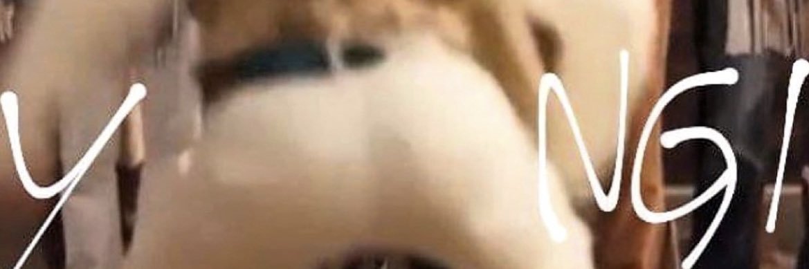 brigonz_'s profile banner image