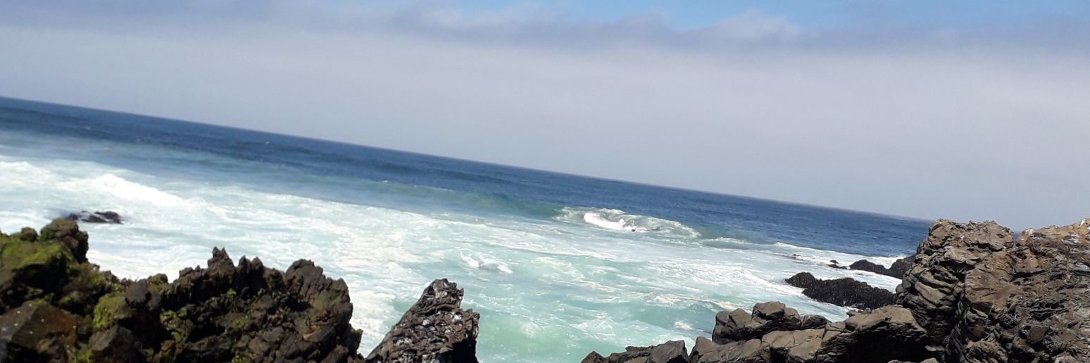 bernarditaparad's profile banner image