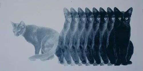 prazerisa_'s profile banner image