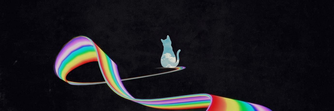 WALK THE MOON as cats banner