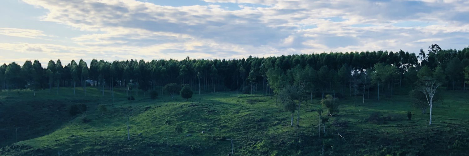 nikeletes's profile banner image