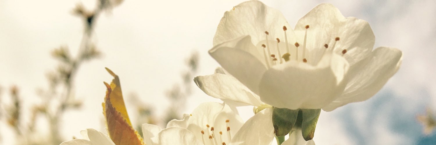Chanaynay44's profile banner image
