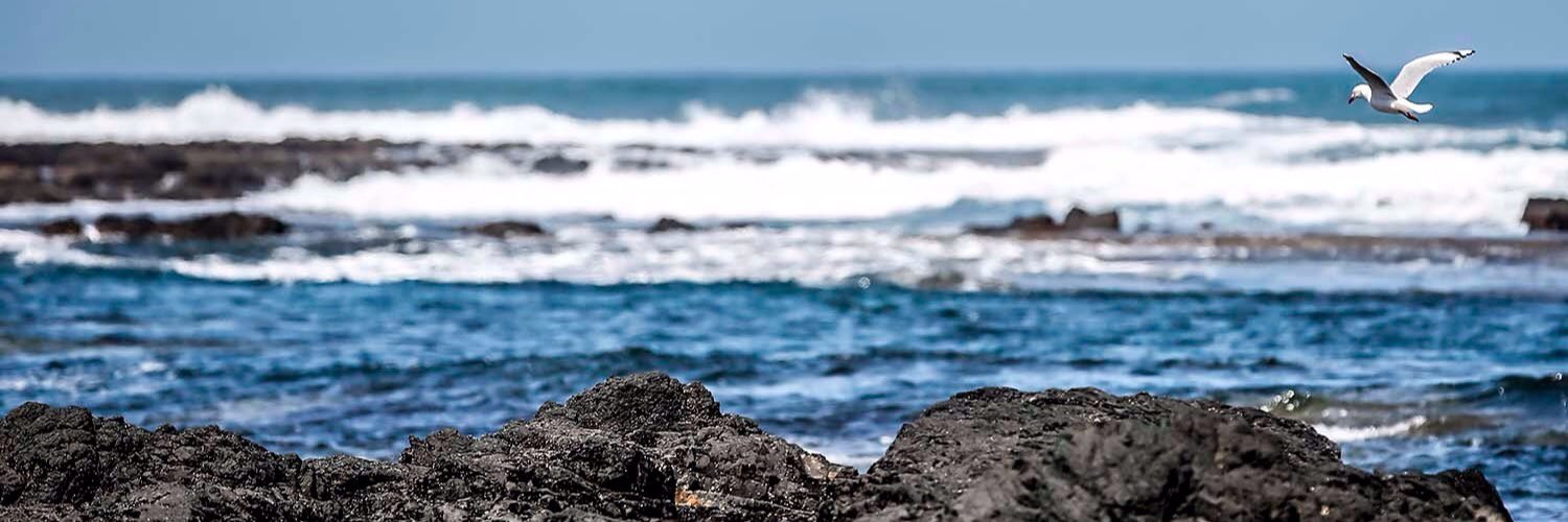 Alex Farinelli banner