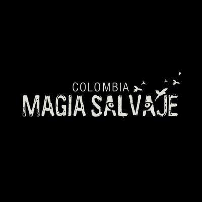 JesusEmilio313's profile banner image