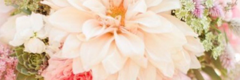 Liz_Early's profile banner image